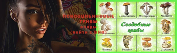 винт Гусев