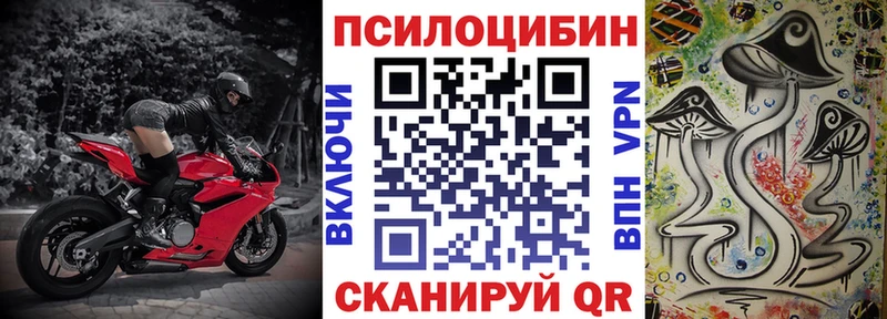Купить закладки  Райчихинск  Галлюциногенные грибы MAGIC MUSHROOMS 